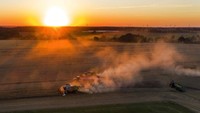 Panen gandum saat matahari terbenam di Jerman. Jens Bttner/dpa via AP  