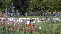 Orang-orang berjemur di Jardins des Tuileries di Paris, Prancis. AP Photo/Rafael Yaghobzadeh  