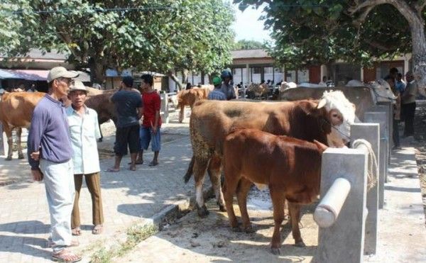 Bernostalgia di  Pasar  Legi Klaten  Apa Keunikannya 