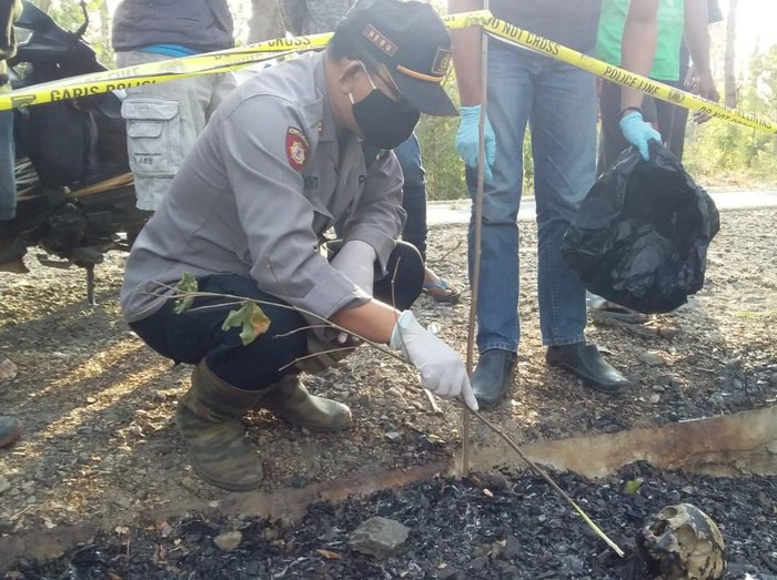 Penemuan Kerangka Manusia di hutan baluran