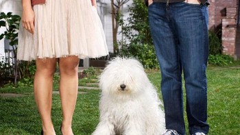 Pada tahun 2011, Zuck dan Chan memutuskan memelihara seekor anjing yang mereka namakan Beast. Foto: istimewa