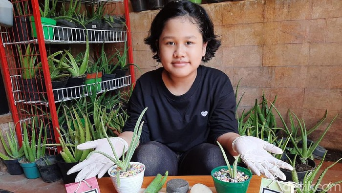 sabun lumpur sidoarjo