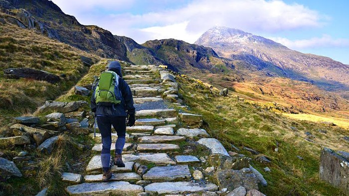 Taman Nasional Snowdon