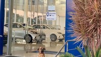 Tucson merupakan anjing jalanan yang dulunya sering berkeliaran di sekitar showroom. Kemudian pada 21 Mei 2020, Tucson diadopsi oleh orang-orang yang berbaik hati yang juga bekerja di dealer Hyundai, Espirito Santo, Brazil. Foto: Instagram @Tucson_prime