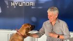 Aksi Seekor Anjing yang Bekerja di Dealer Hyundai