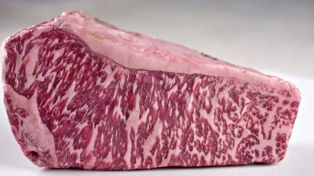 Wagyu Beef. Ist
