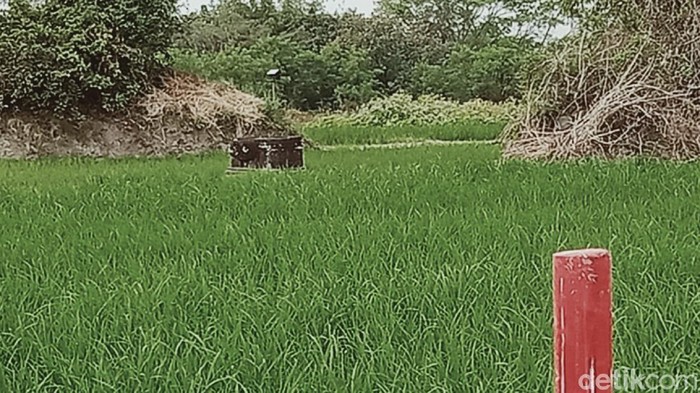 Batu diduga Yoni yang terdampak proyek tol di Klaten, Sabtu (8/8/2020).