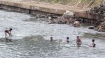Begini Debit Air Sungai Ciliwung di Musim Kemarau