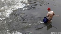 Beberapa terlihat mencari ikan.