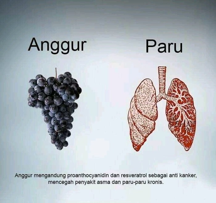 Makanan berbentuk mirip organ manusia Makanan berbentuk mirip organ manusia
