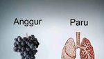 10 Makanan Ini Mirip Organ Tubuh Manusia, Manfaatnya Juga Hebat!