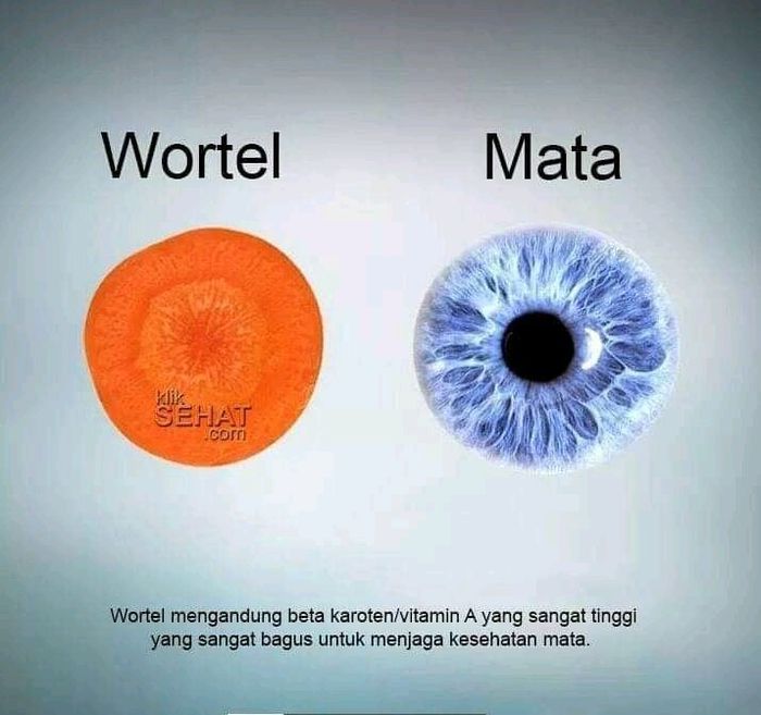 10 Makanan Ini Mirip Organ Tubuh Manusia, Manfaatnya Juga ...