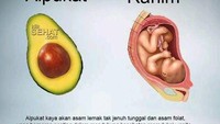 Banyak yang mengatakan kalau bentuk alpukat ketika dibelah mirip dengan rahim wanita. Apalagi alpukat kaya akan asam lemak tak jenuh dan asam folat yang berperan penting dalam menjaga kesehatan reproduksi wanita. Foto: Kliksehat