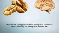 Walnut jenis kacang-kacangan yang tak mudah ditemui di Indonesia. Tapi bentuknya mirip seperti otak. Dilansir dari Klik Sehat, ternyata mengonsumsi segenggam walnut dapat meningkatkan performa otak lho! Foto: Kliksehat