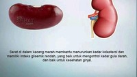 Kacang merah juga jenis kacang-kacangan yang terbukti sehat. Ternyata bentuknya mirip dengan ginjal. Kandungan serat yang ada pada kancang merah dapat membantu menurunkan kadar kolesterol dan baik untuk kesehatan ginjal. Foto: Kliksehat