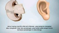 Jamur ada yang bentuknya mirip dengan telinga manusia. Jamur juga mengandung zat anti-inflamasi yang dapat mengobati iritasi pada selaput lendir. Termasuk peradangan telinga. Foto: Kliksehat