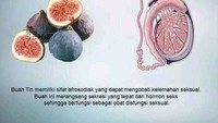 Buah tin ketika dibelah mirip dengan bentuk organ skrotum. Buah ini memiliki sifat afrosodiak yang ternyata baik untuk mengatasi disfungsi seksual. Foto: Kliksehat
