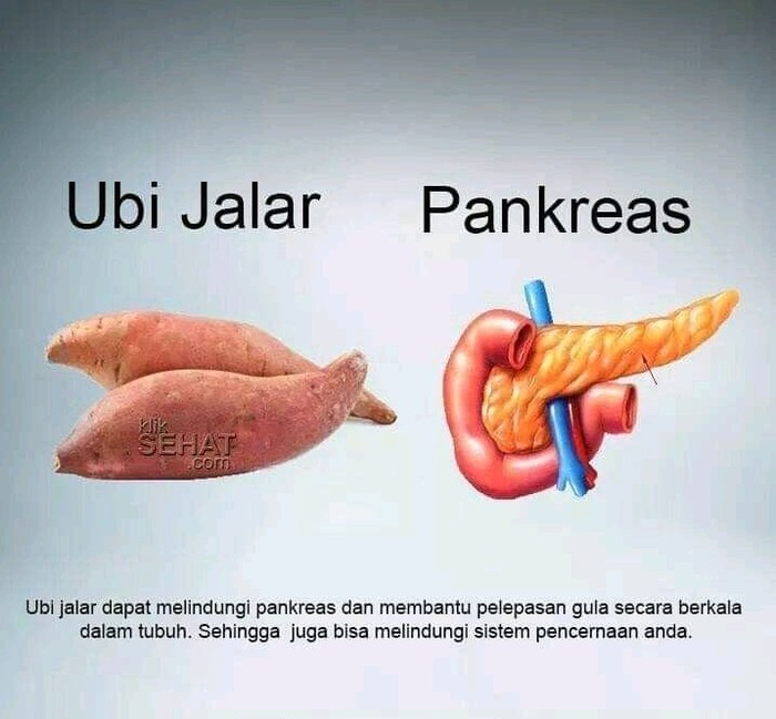 Makanan berbentuk mirip organ manusia Makanan berbentuk mirip organ manusia