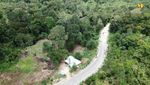 Tembus Hutan, Proyek Jalan Perbatasan RI-Malaysia Digeber Lagi