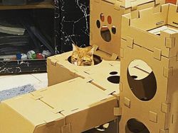 Gemasnya! Kumpulan Rumah Kucing Terbuat Dari Karton