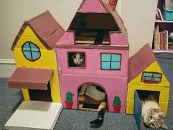 Gemasnya! Kumpulan Rumah Kucing Terbuat Dari Karton