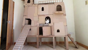 Dan kerap karuds ini juga digunakan sebagai tempat persembunyian. Karena ruang yang sempit sehingga tidak ada yang bisa masuk menyelinap diam-diam. Foto: Boredpanda