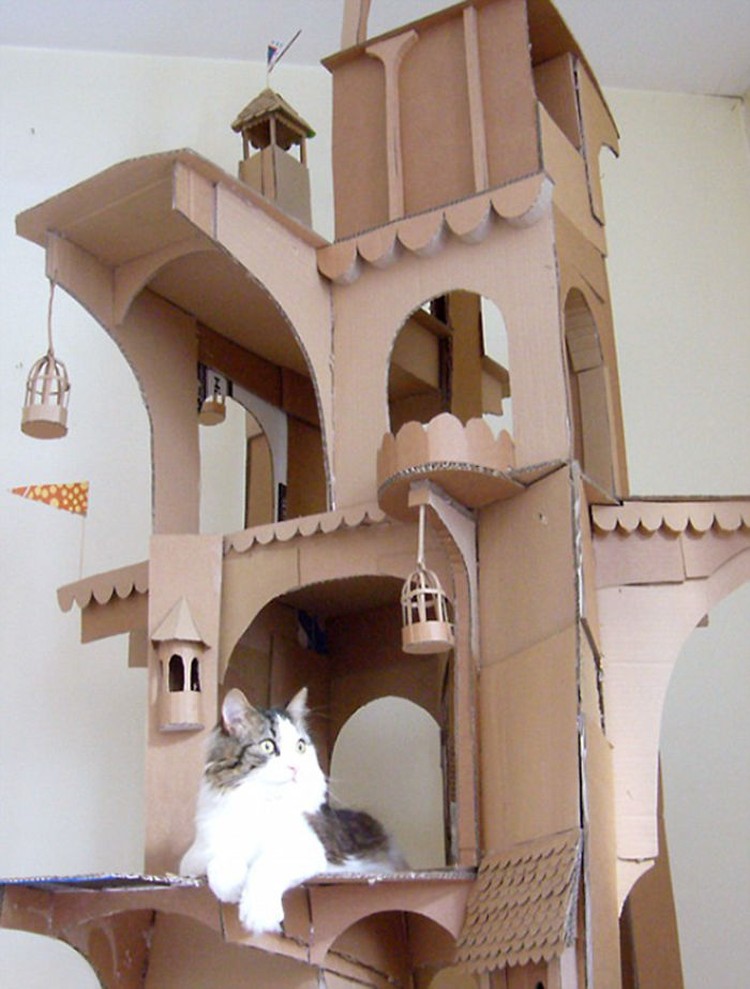 rumah kardus kucing