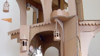 Selain itu alasan penting lainnya ada tekstur. Foto: Boredpanda