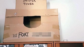 Hal ini membuat si kucing sangat menyenangkan untuk dimainkan jika si menyukainya. Foto: Boredpanda