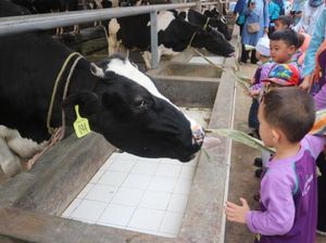 Wisata Edukasi Bertema Peternakan Juga Ada di Jakarta