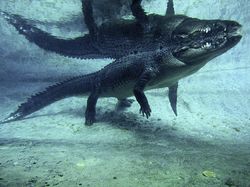 Gaya Sangar Buaya Muara