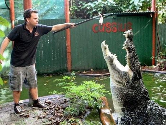 Buaya Cassius (AFP)