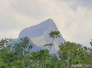 Lagi, Pelajar Jatuh ke Jurang Bukit Piramid Bondowoso