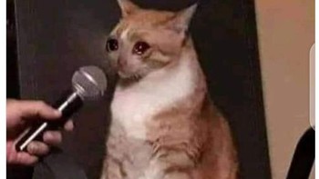 Fans Chelsea saat ini. Foto: Istimewa