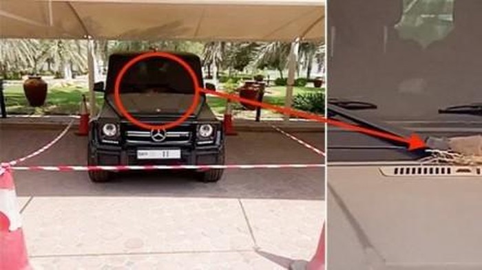 Mobil putra mahkota Dubai yang dijadikan sarang burung