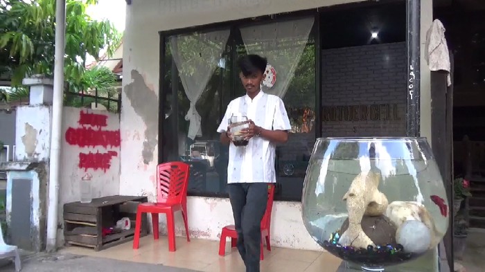 Pelajar SMK di Parepare budidaya ikan cupang untuk membeli kuota internet, MInggu (9/8/2020).