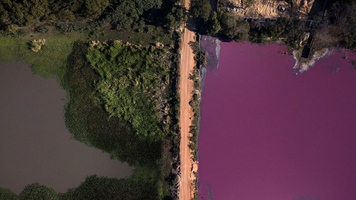 Air Laguna Paraguay Setengahnya Berubah Jadi Ungu, Ada Apa?