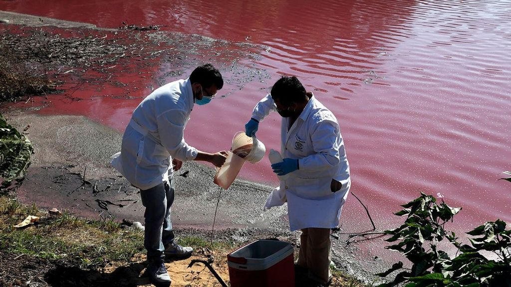Air Laguna Paraguay Setengahnya Berubah Jadi Ungu, Ada Apa?