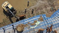 Alat berat dikerahkan untuk mengevakuasi hewan ternak tersebut. Park Chul-heung/Yonhap via AP.