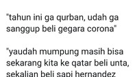 Beli unta di Qatar buat kurban. Waduh sultan mau kurban unta nih. Foto: twitter @jek__