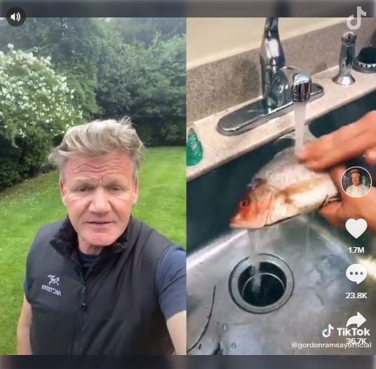 Kritik Pedas Gordon Ramsay Soal Tutorial Masak TikTok