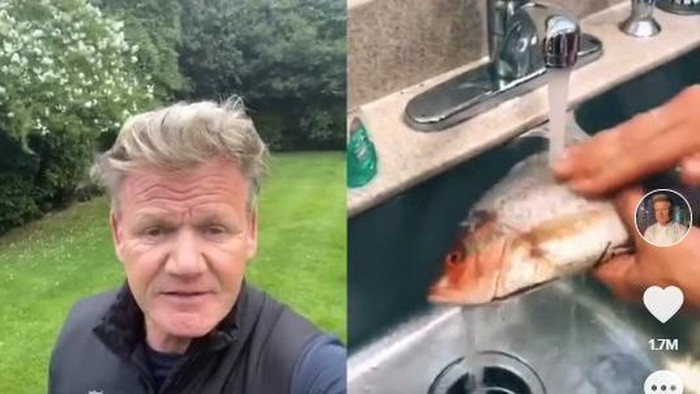Kritik Pedas Gordon Ramsay Soal Tutorial Masak TikTok