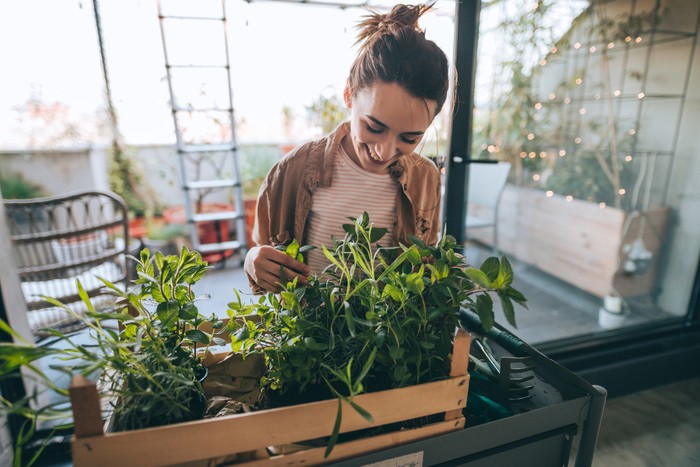 Photo of young woman taking care of her plants on a rooftop garden