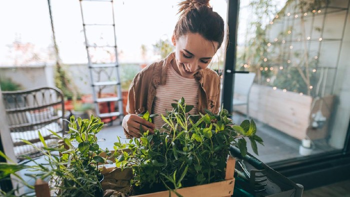 Photo of young woman taking care of her plants on a rooftop garden