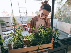 Berkebun dan 6 Hobi yang Jadi Tren Selama Pandemi Corona