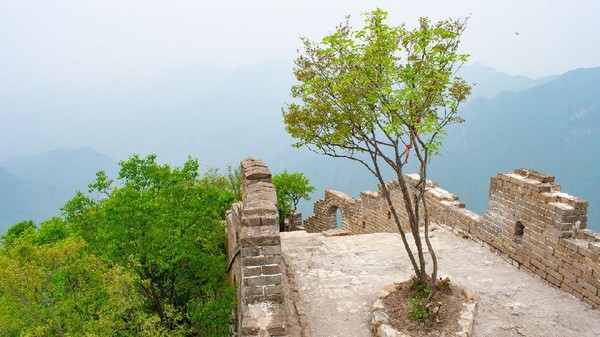 Malah, tak ada satu pun pihak pengelola yang menjajakan tiket di sini. Padahal, Jiankou masih merupakan satu bagian utuh dari Tembok Besar China (Amanda Ruggeri/BBC). Malah, tak ada satu pun pihak pengelola yang menjajakan tiket di sini. Padahal, Jiankou masih merupakan satu bagian utuh dari Tembok Besar China (Amanda Ruggeri/BBC).