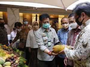 Airlangga: Hortikultura Jadi Andalan karena Potensi Ekspornya Bagus
