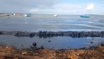 Potret Laut Mauritius yang Tercemar Tumpahan Minyak