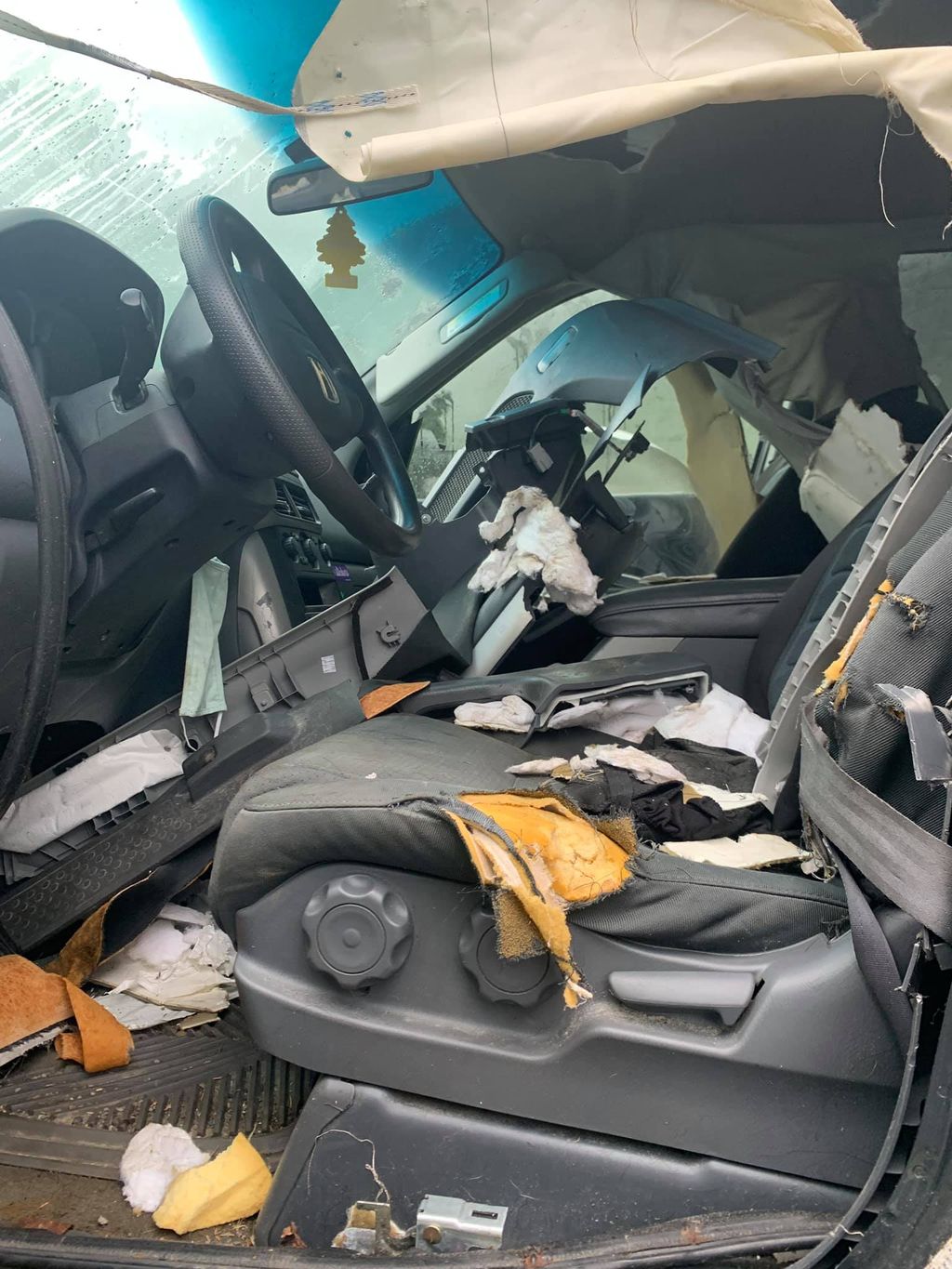 Mobil dirusak beruang