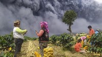 Erupsi terjadi saat warga memanen kentang di Karo, Sumatera Utara, Senin (10/8/2020).